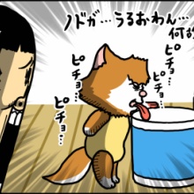 まめきちまめこニートの日常 - シンバオススメ回 Powered by