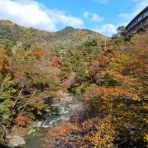 塩原温泉　彩つむぎ　女将の独り言