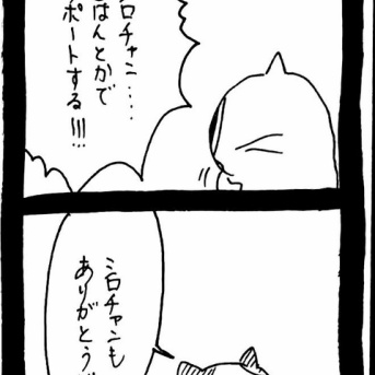 選挙に出馬しよう最終話