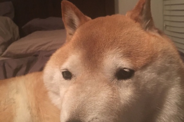 ワンピースまとめた速報 16