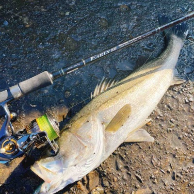 ヤマガブランクス Early103m For Surf シーバス ライトゲームな日々