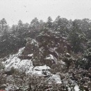 猫たちはいつだって平常運転