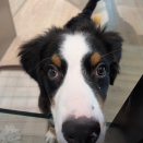 寒くなりました…