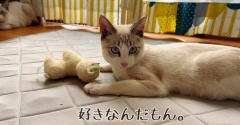 ラックくんのお友達