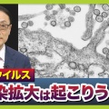 ハンタウィルス