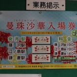 『神輿とよるえの』の画像