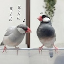 最近のジルの奇行