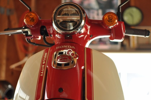 いくゾ～ やるゾ～ がんばる象