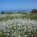 (4/25) 大成古墳と立岩 ガイド