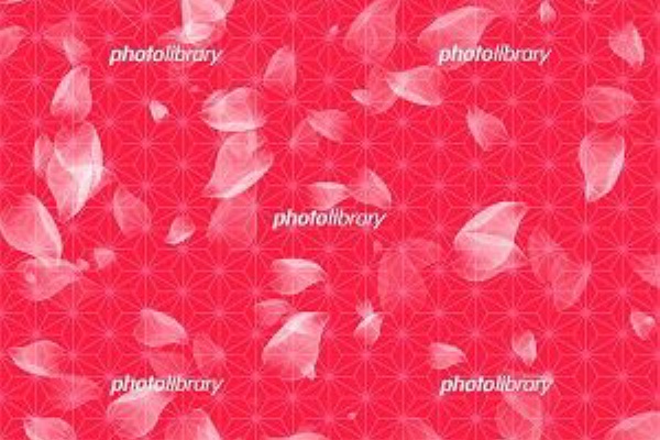 みさとぷりんと イラスト 背景素材 花びら