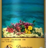 『【ヤオコー限定】「ヱビスビール ヤオコー川越美術館 オリジナルデザイン缶 ギフトセット」発売』の画像
