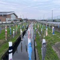 道の駅いちかわ　孫とクリル