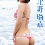 グラビアリークス