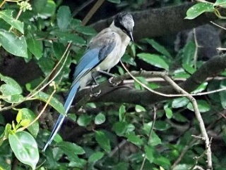 2025年9月21日の野鳥公園