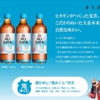 【感想】鬼茶飲んだので、率直な感想