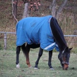 『天気』の画像