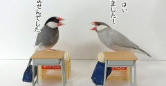 夏休みが終わって