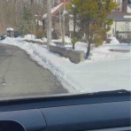 バーニーズのジョンとわんこの里親探し