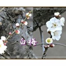 今日はリハビリの後整形に・・