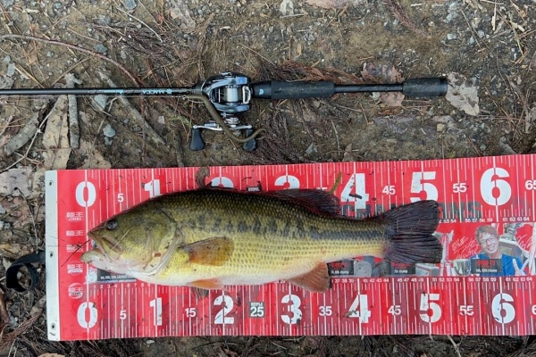 Lure Shop O'z Blog - 釣果情報
