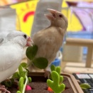 見たことあるような…