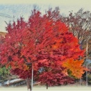 チーム力の向上