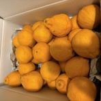 ｇｏｏｄ　ａｔｔｉｔｕｄｅ