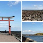 シェビーズのブログ