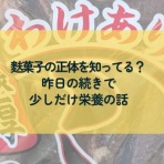 つきのわスポーツ栄養ブログ~食で育てる健康とパフォーマンス~
