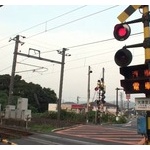 2018年にもなって踏切で一旦停止って意味わからんよな 	