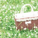 『運動会の思い出』の画像