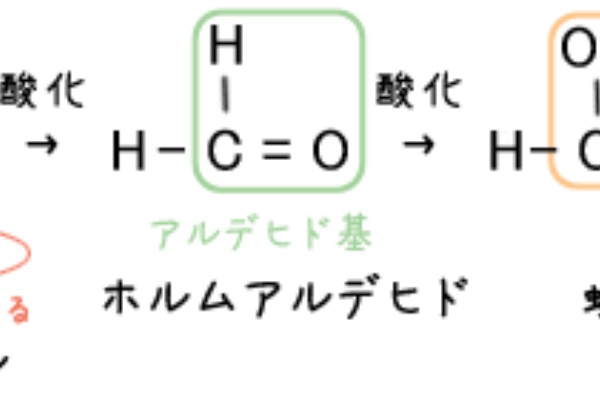 化学の星 2008
