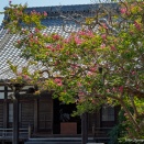 鎌倉散策（妙本寺～本興寺～補陀洛寺）：２０２５年８月１７日