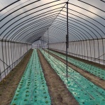 伊那谷農業日記