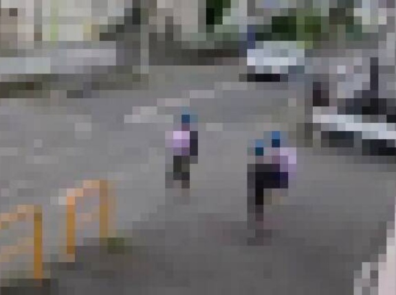 【悲報】子供が横断歩道で待ってるのに、通る車が1台も停車しないという動画が話題に…