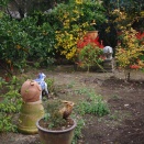 １２月２日の庭