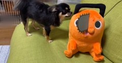 クレーンゲーム記録★獲れやすかった！チェンソーマン、エスターバニーなど〜