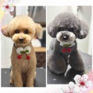 2月25日のお友達❤️