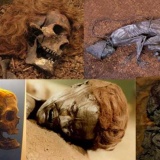 美しきミイラ『トーロンマン』他　湿地で眠り続けた7体のミイラたち