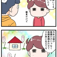 毎年庭にネジバナが咲くんだけども