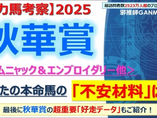 【回顧】スワンステークス ～困った！オフトレイルがマイルCSで人気になってしまう！～＜2025＞
