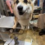 お客様のご紹介