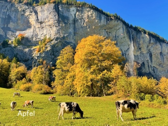 今年のスイス 紅葉はいつ？ 10月はエンガディンへ🇨🇭