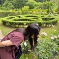 七夕🎋