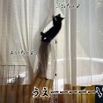 やっぱりやるか…