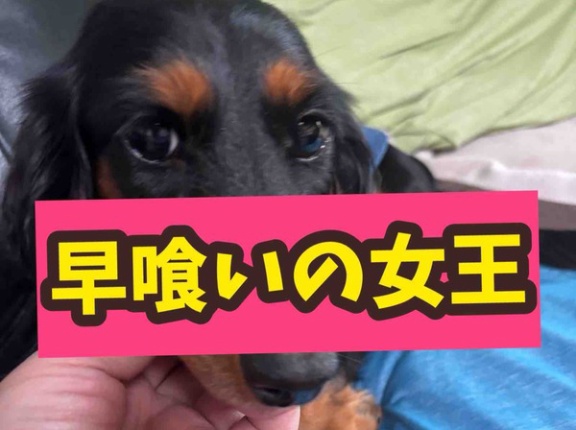 さっさと食べろ。ヤツが狙ってるぞ。