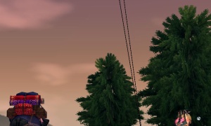 犬を残しゾリがどっか行った