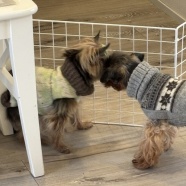 楽しくお別れ♪