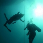 鈴木ダイビング