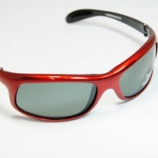 Bertoni 2011٤β